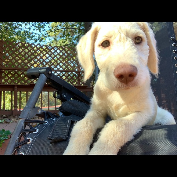 Meet your Posher, Magan - Picture 1 of 1